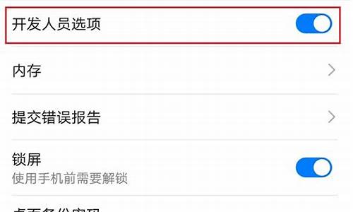 华为手机开发者选项在设置里面怎么找到_华为手机的开发者选项怎么找
